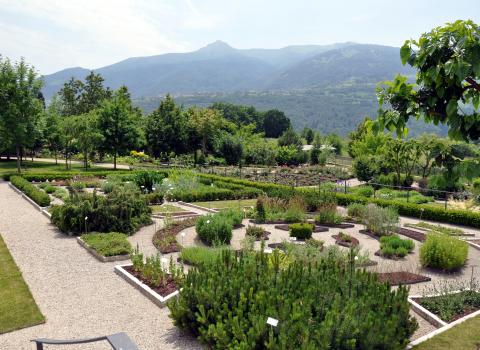 Orto dei semplici e giardino botanico del Monte Baldo