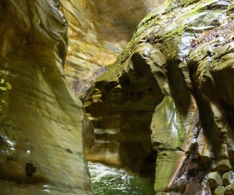 Uscita naturalista al Canyon della Sorna