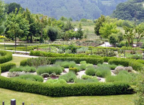 Orto dei semplici e giardino botanico del Monte Baldo