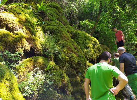 Escursione al canyon del Rio Sorna