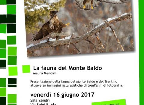 La Fauna del Monte Baldo