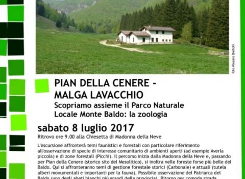 Pian della Cenere - Malga Lavacchio
