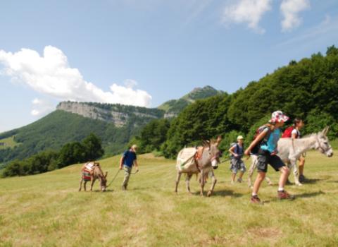 Trekking con gli asini  nel Parco Naturale Locale Monte Baldo 