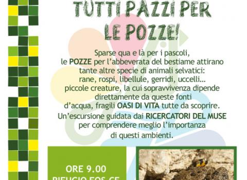 Tutti pazzi per le pozze!