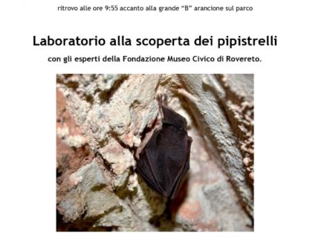 Laboratorio alla scoperta dei pipistrelli