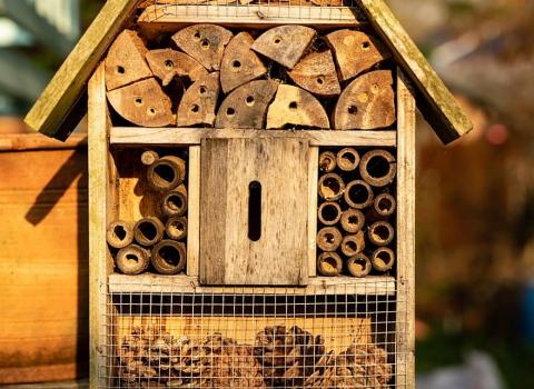 COSTRUIAMO UN BUG-HOTEL