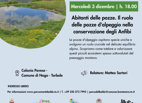 Abitanti delle pozze. Il ruolo delle pozze d’alpeggio nella conservazione degli Anfibi