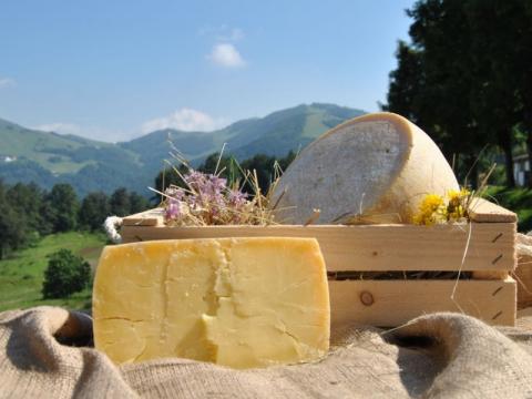 Fare Rete: comarketing tra turismo e agricoltura