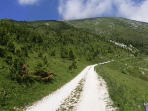 Monte Altissimo, scopriamo insieme il Parco Naturale Locale del Monte Baldo: la botanica