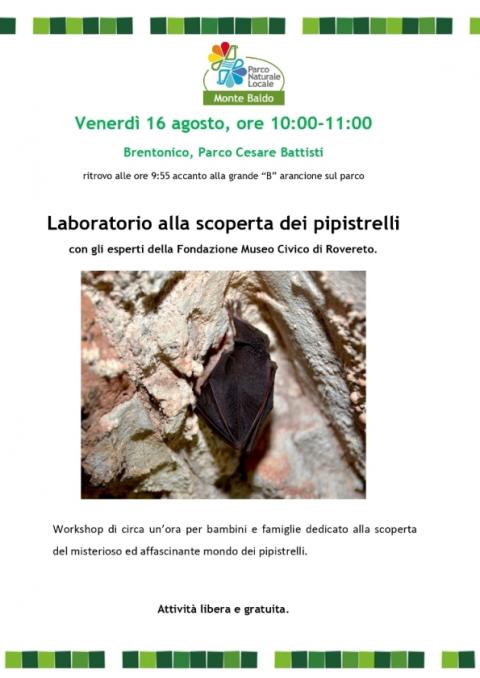 Laboratorio alla scoperta dei pipistrelli