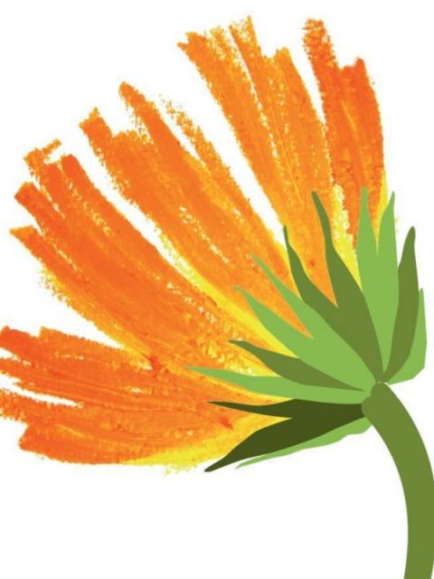 Laboratorio interattivo sul tema dei fitopreparati
