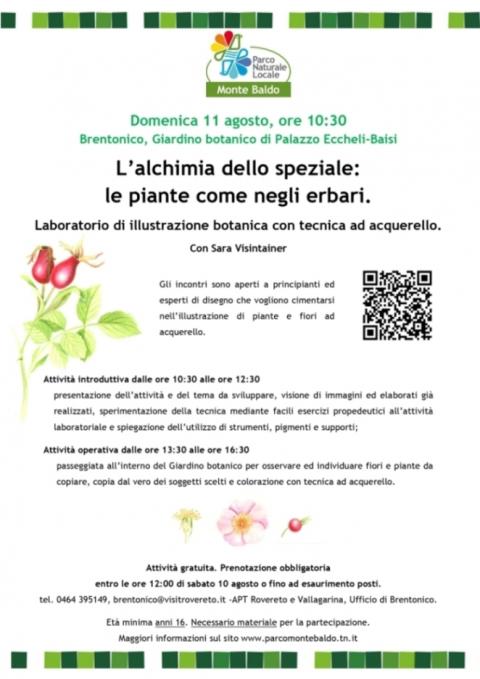 L’alchimia dello speziale: le piante come negli erbari