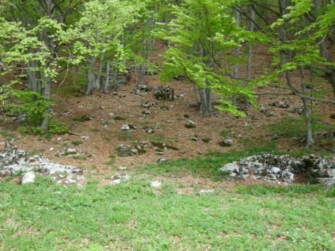 Passeggiata "Le miniere di terre verdi"